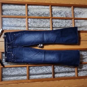 American Eagle Artist Flare jeans size 0 short